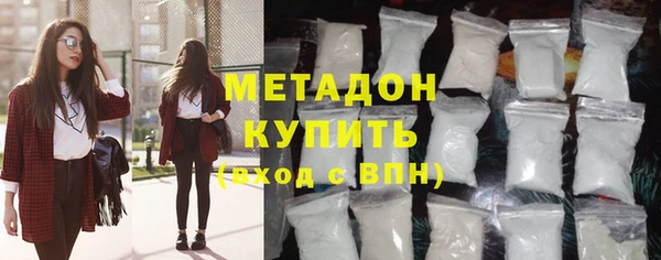 крисы Бородино