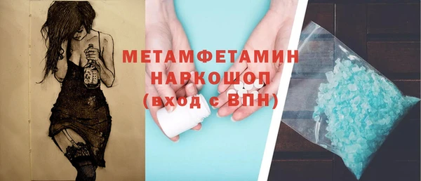 крисы Бородино
