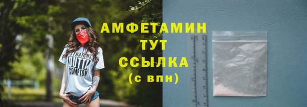 первитин Богданович