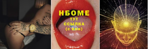 крисы Бородино