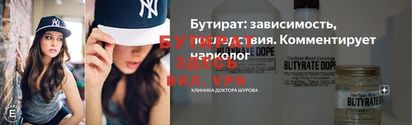 крисы Бородино