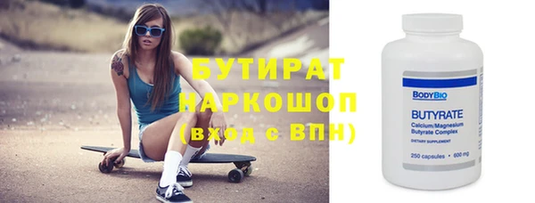 крисы Бородино