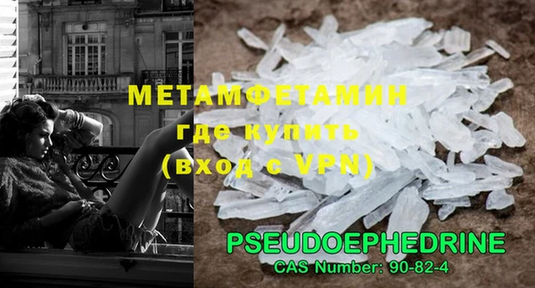 крисы Бородино