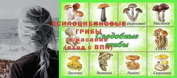 молекула духа Новозыбков