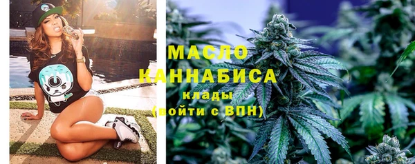 крисы Бородино
