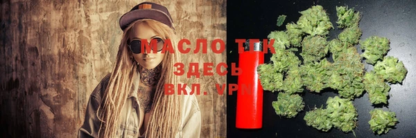 крисы Бородино