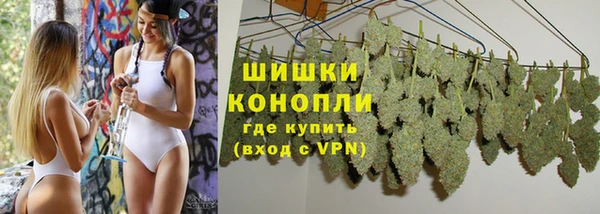 крисы Бородино