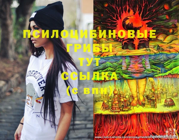 гидропоника Бронницы
