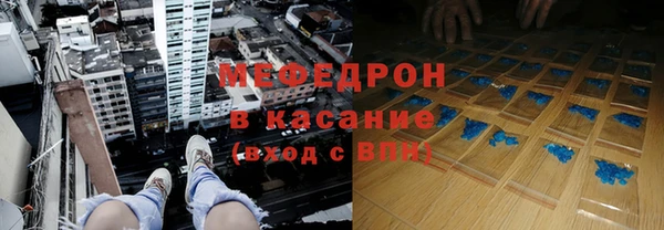 индика Богородицк