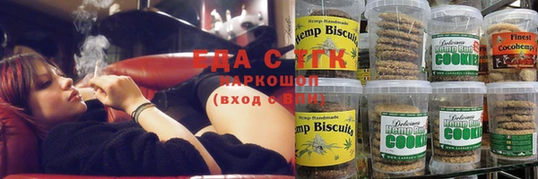крисы Бородино