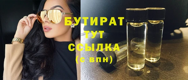 крисы Бородино